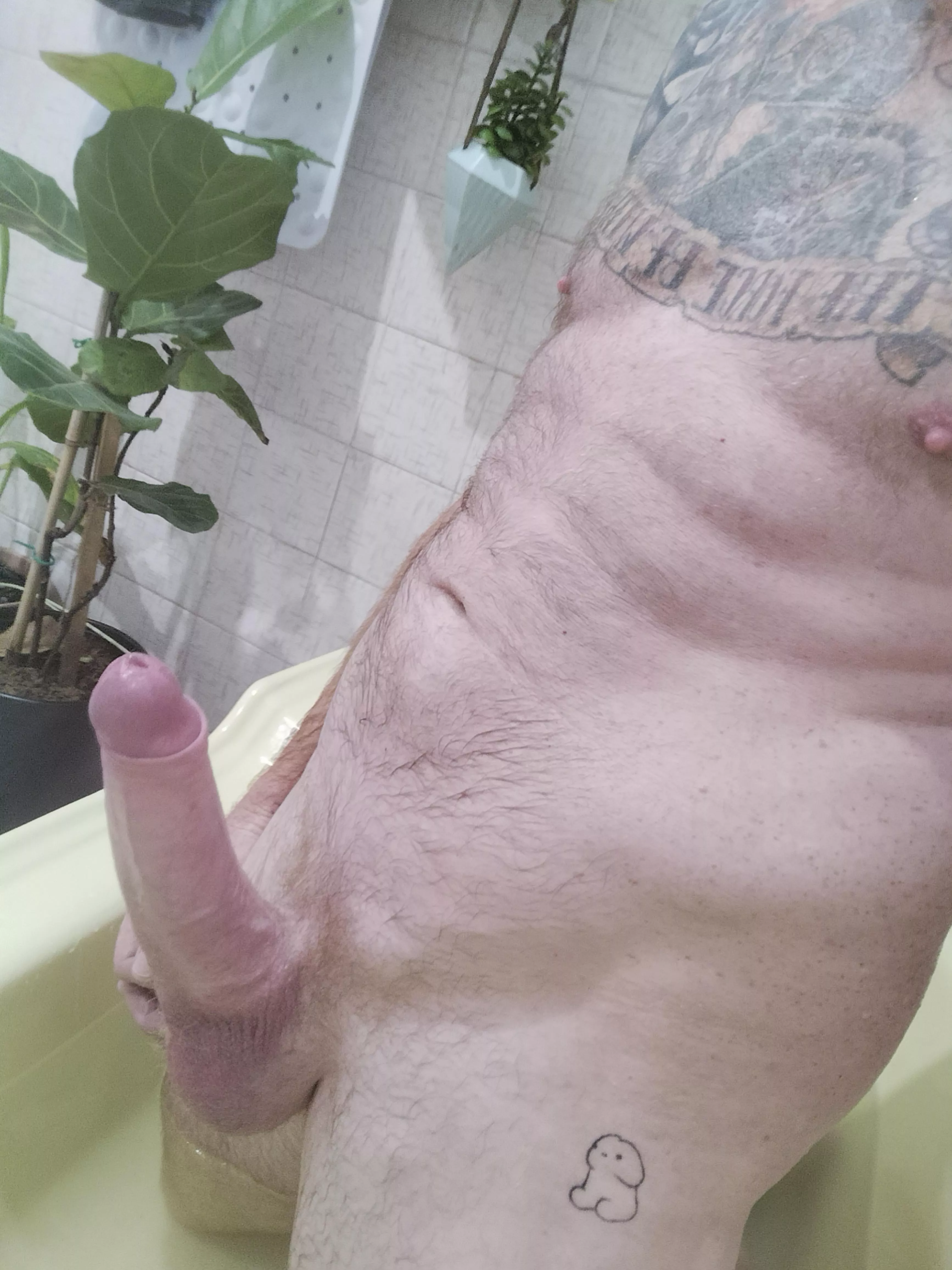 Shaved up Sunday posted by RiskyWanKenobi