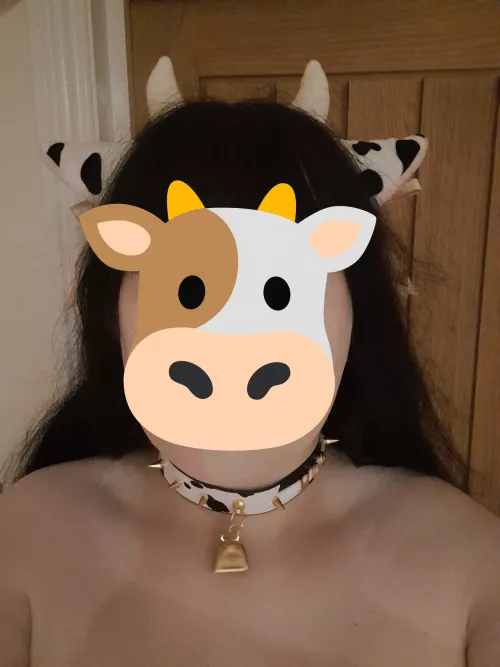 Showing off my new collar! (plus cute ears) by GothyGremmy