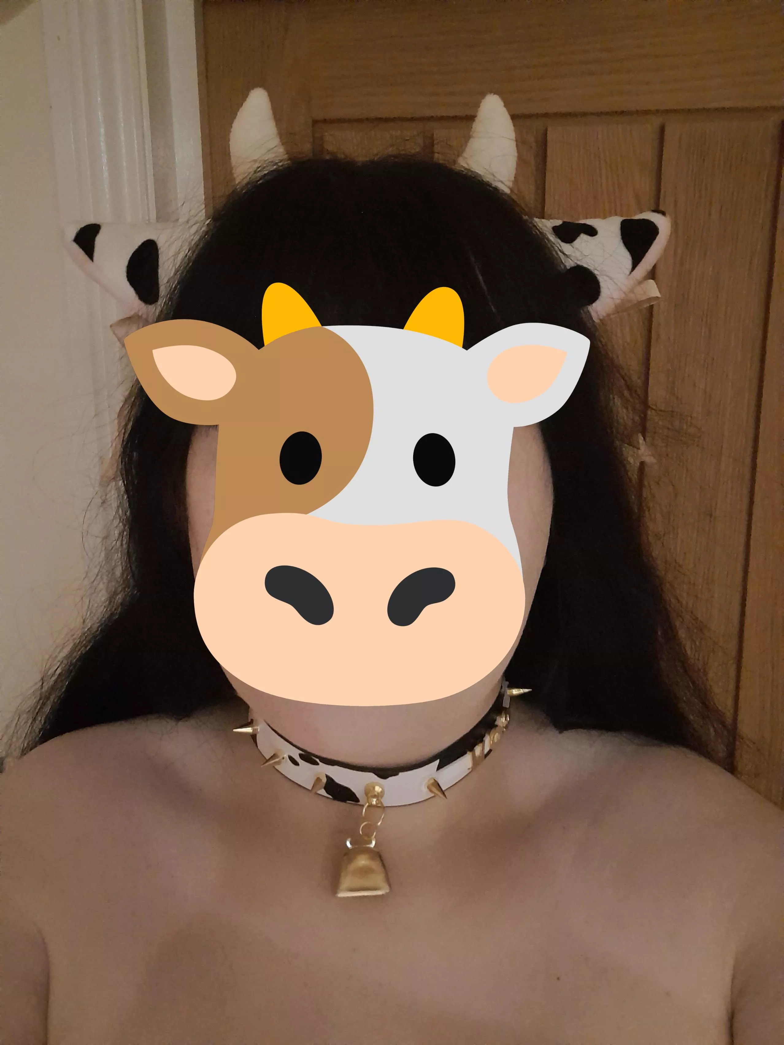 Showing off my new collar! (plus cute ears) posted by GothyGremmy