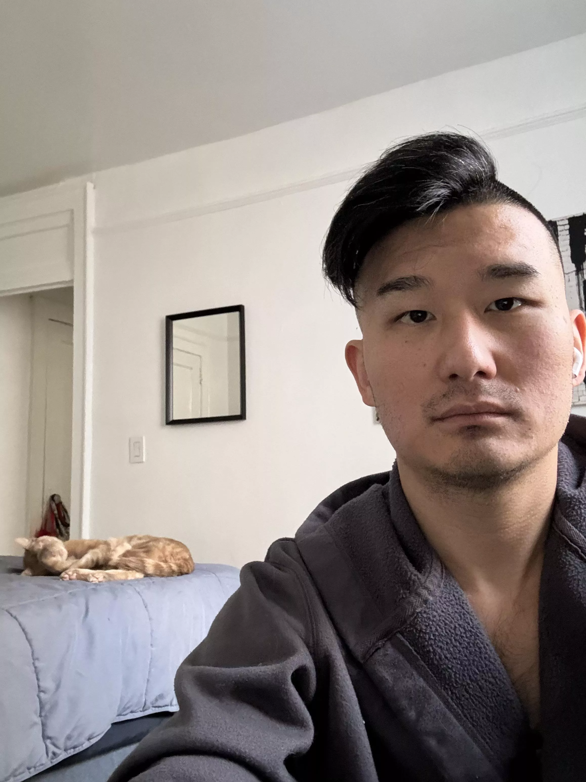 Sleepy meow Sundays  posted by rossisanasshole