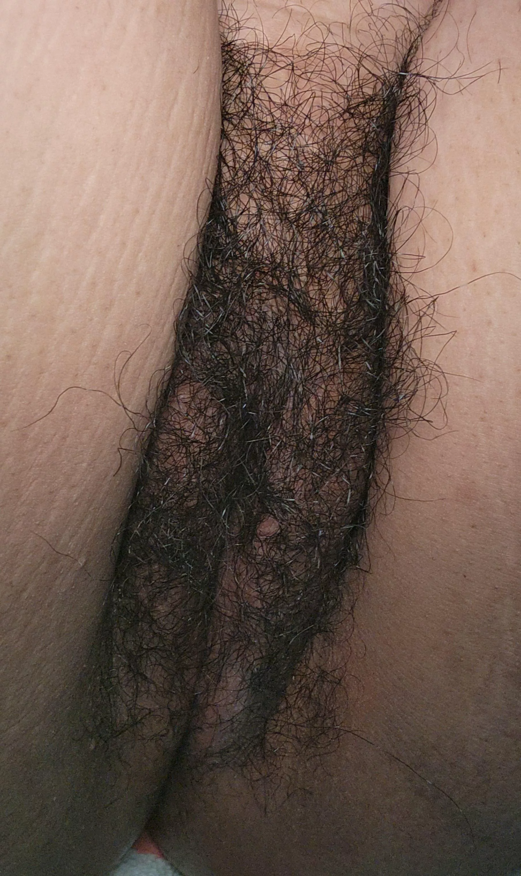 The Bush after my shower 😊 posted by lonelypeach25