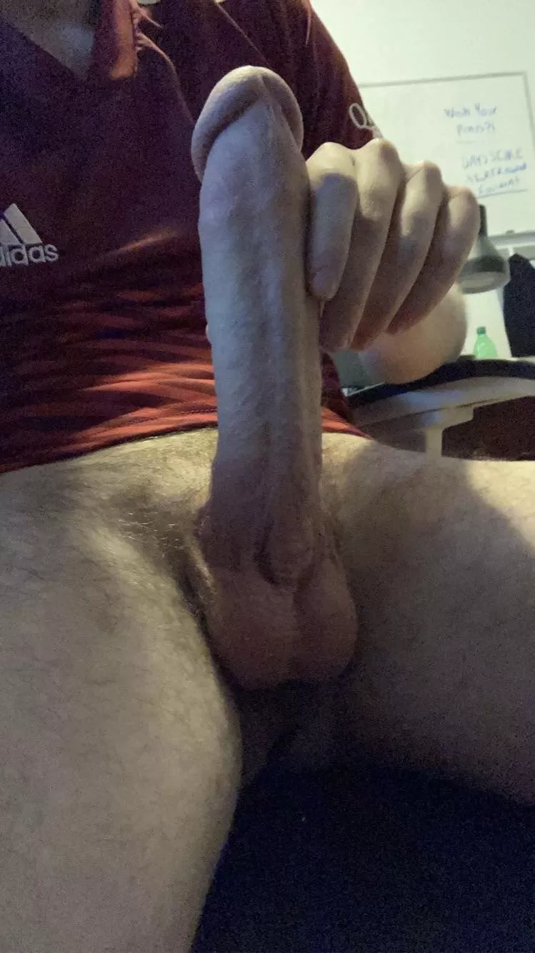 Told it was long, fat, and gorgeous posted by MilesAtlasBull