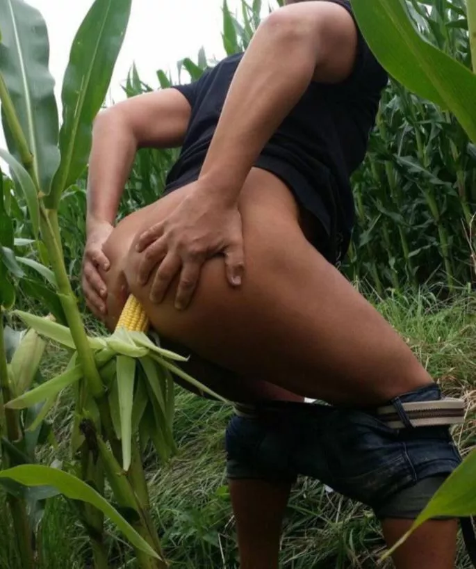 Us country guys are naughty freaks. posted by JohnWolfPup