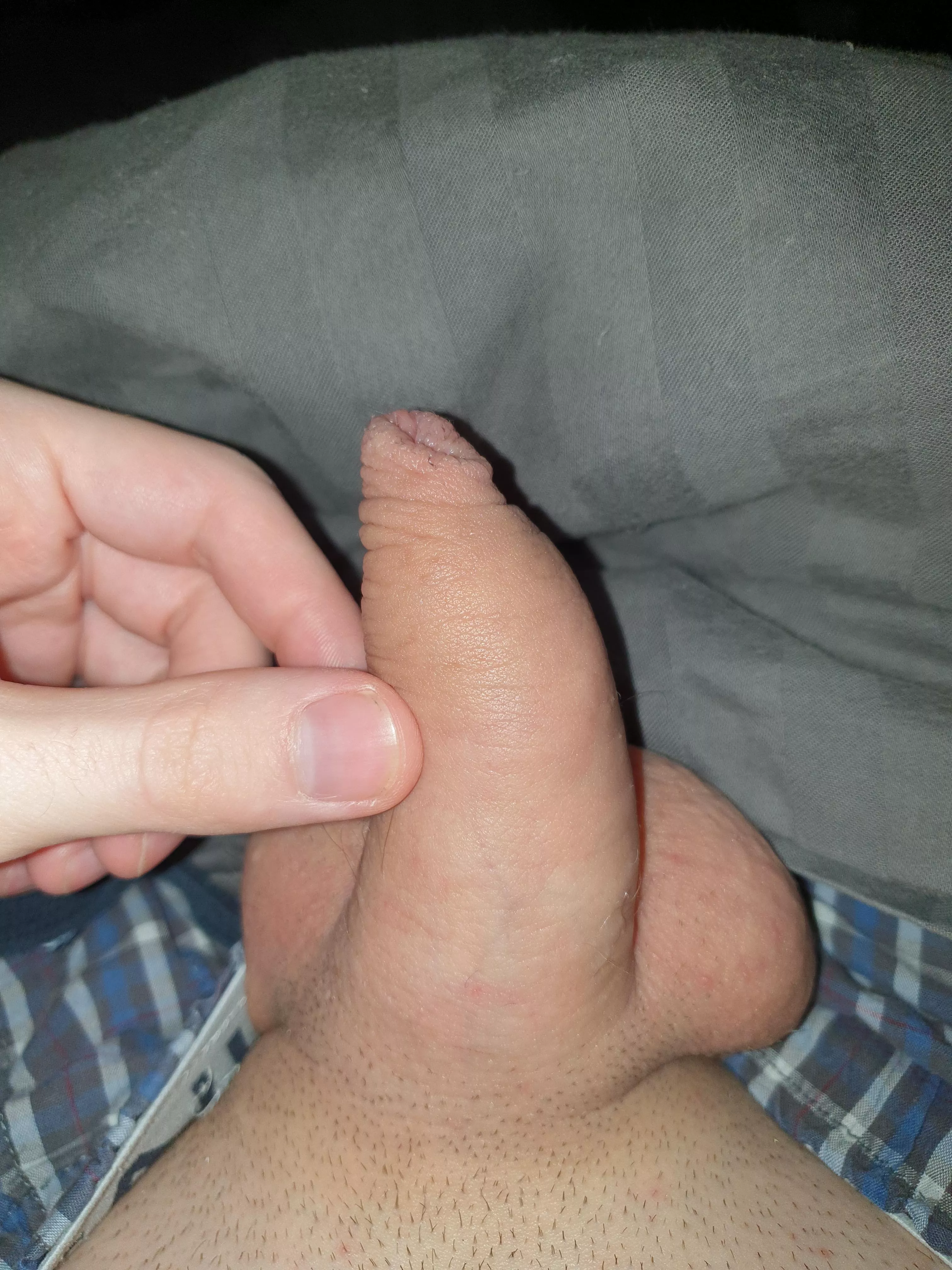 What do you think about my little friend? posted by Little-Ad9968