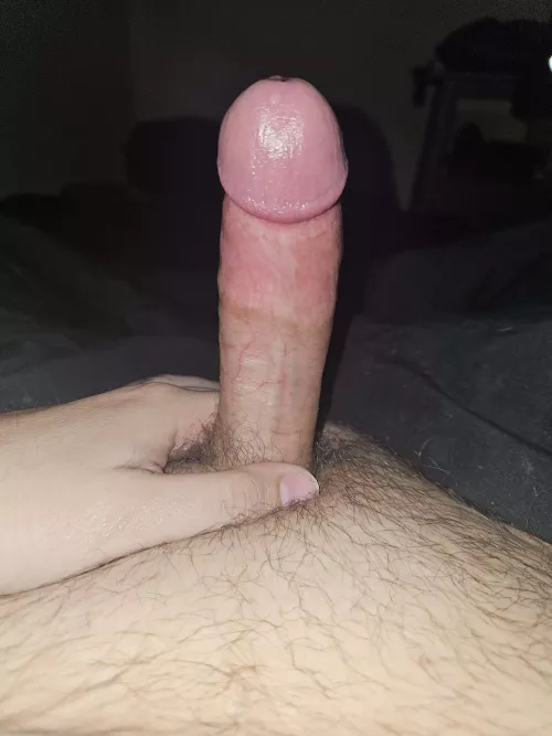 Woke up with some wood. Help me rub it out? by KeyTelephone4261