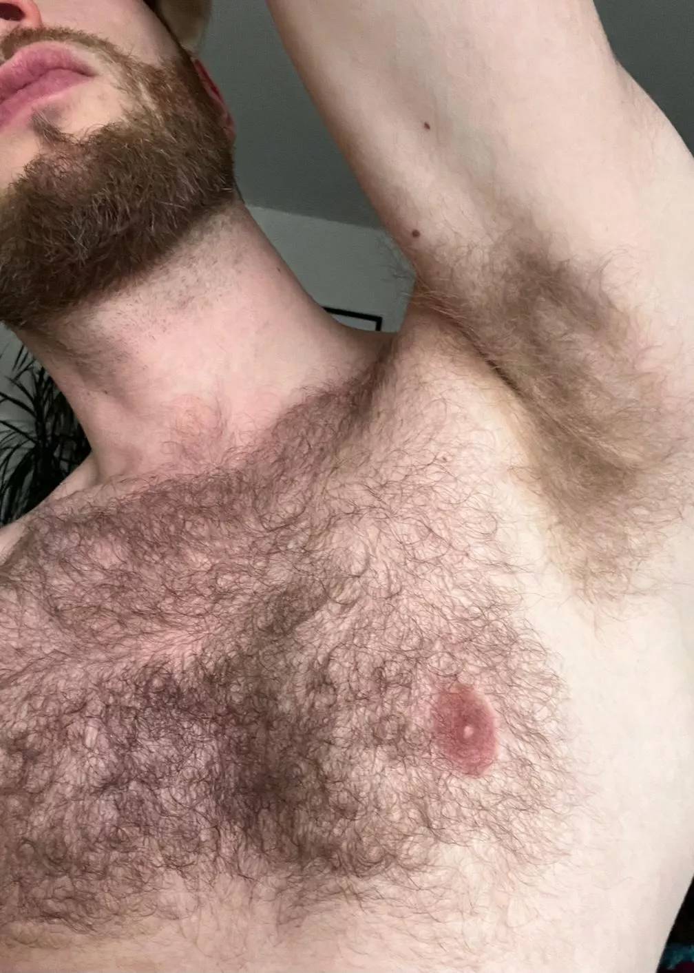 [35] Hairy blone dude awaiting for worship 👅👃🏻 posted by AaaronSummers