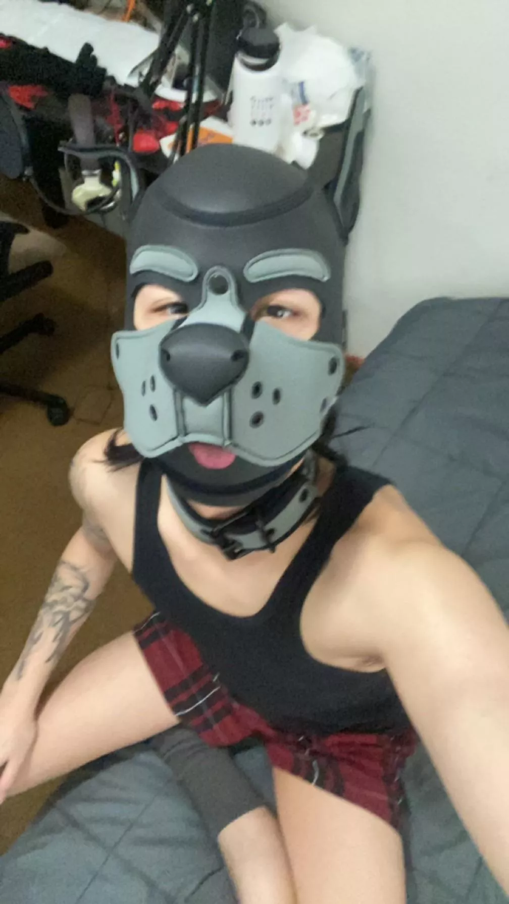 awruff wrooof! puppy wants more fwiends 🥺🩶 posted by aznloverboi