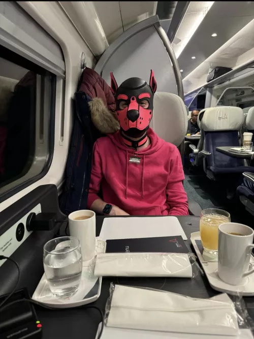 Can’t wait to go to Folsom Europe again this year  by Choice-Fig-6362