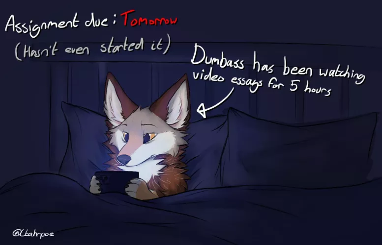 Coyotes don't work well with deadlines 🥲 (Art by me, @Ctahrpoe) by Ctahrpoe