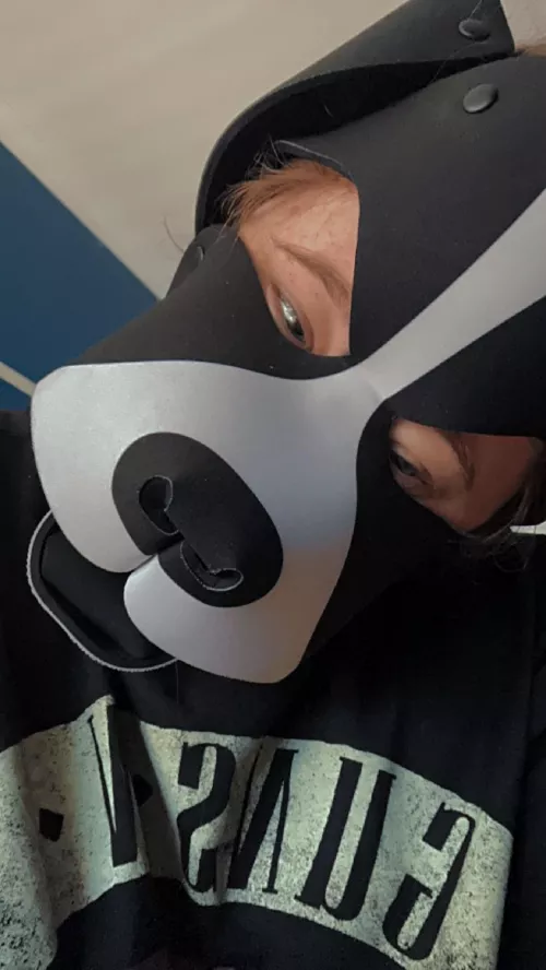 Did someone say walkies by Original-Rice8977