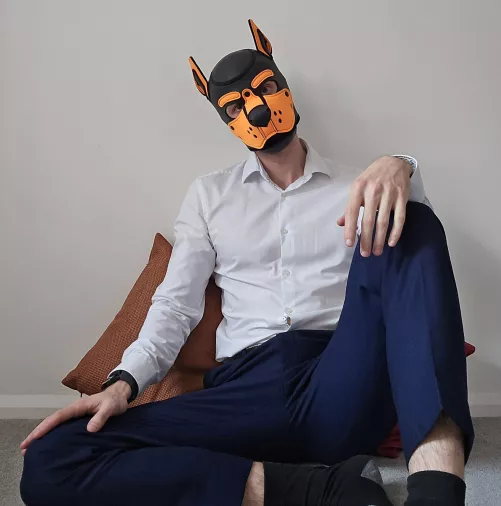 Dogs belong on the floor, even when they're chilling before work... by AshdogeTF