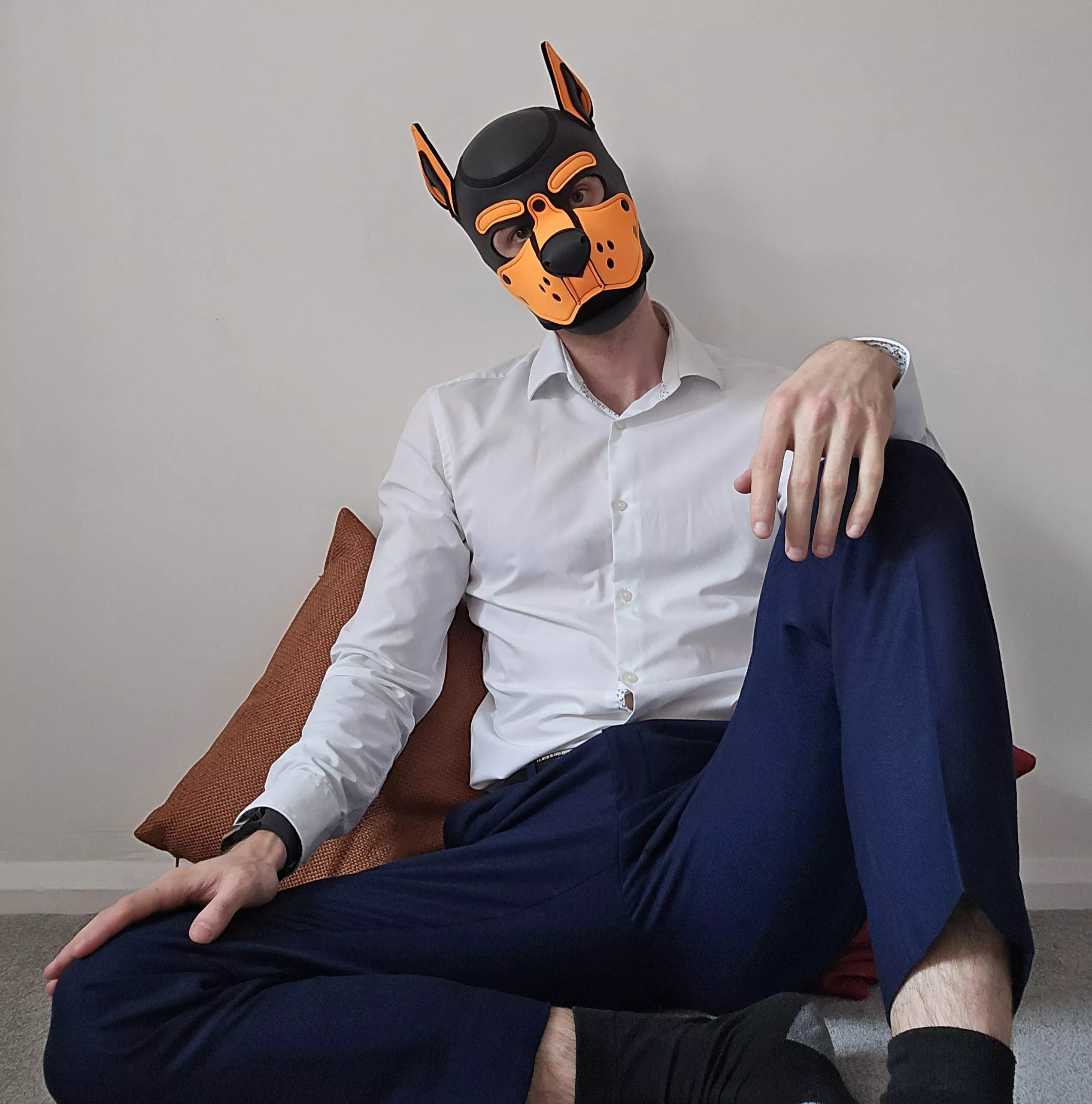 Dogs belong on the floor, even when they're chilling before work... posted by AshdogeTF