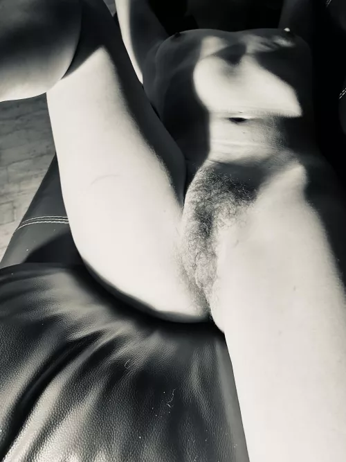 First post of many on here. First time growing my bush out & I love it by refined_alien