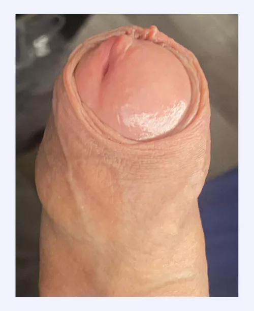 Foreskin is basically a cushion for your glans by Leia_Riley56