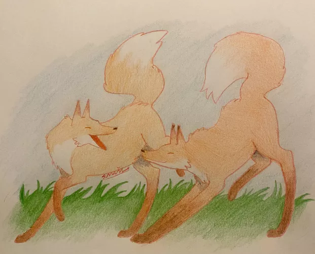 Fox by Alarming-Pea-3890