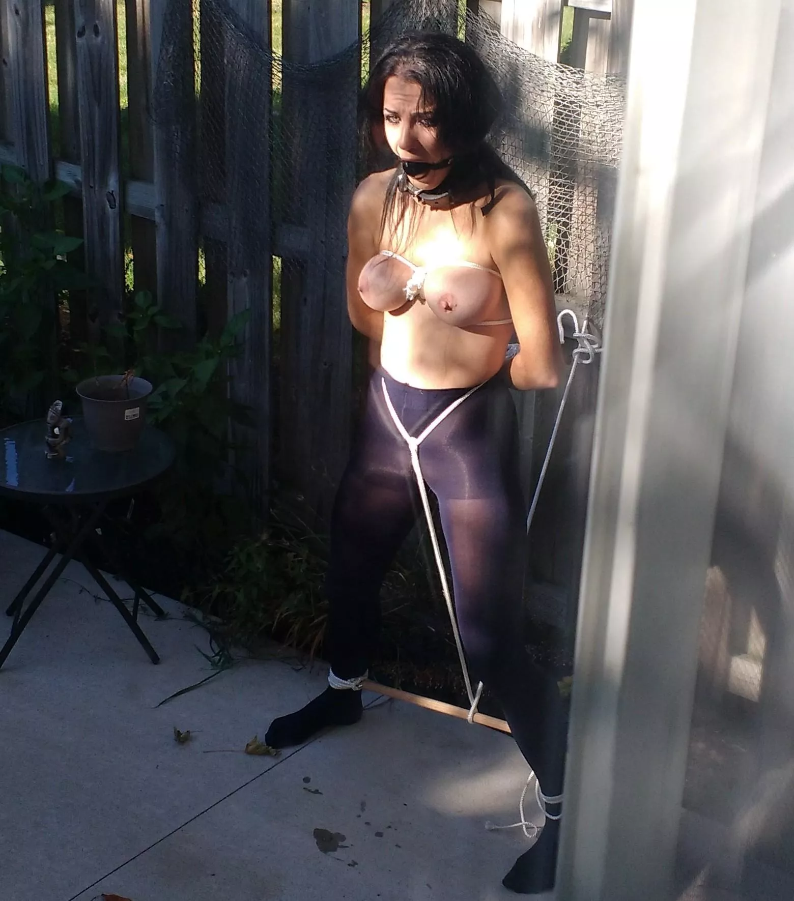 fun in the back yard posted by Mundane-Employer-719