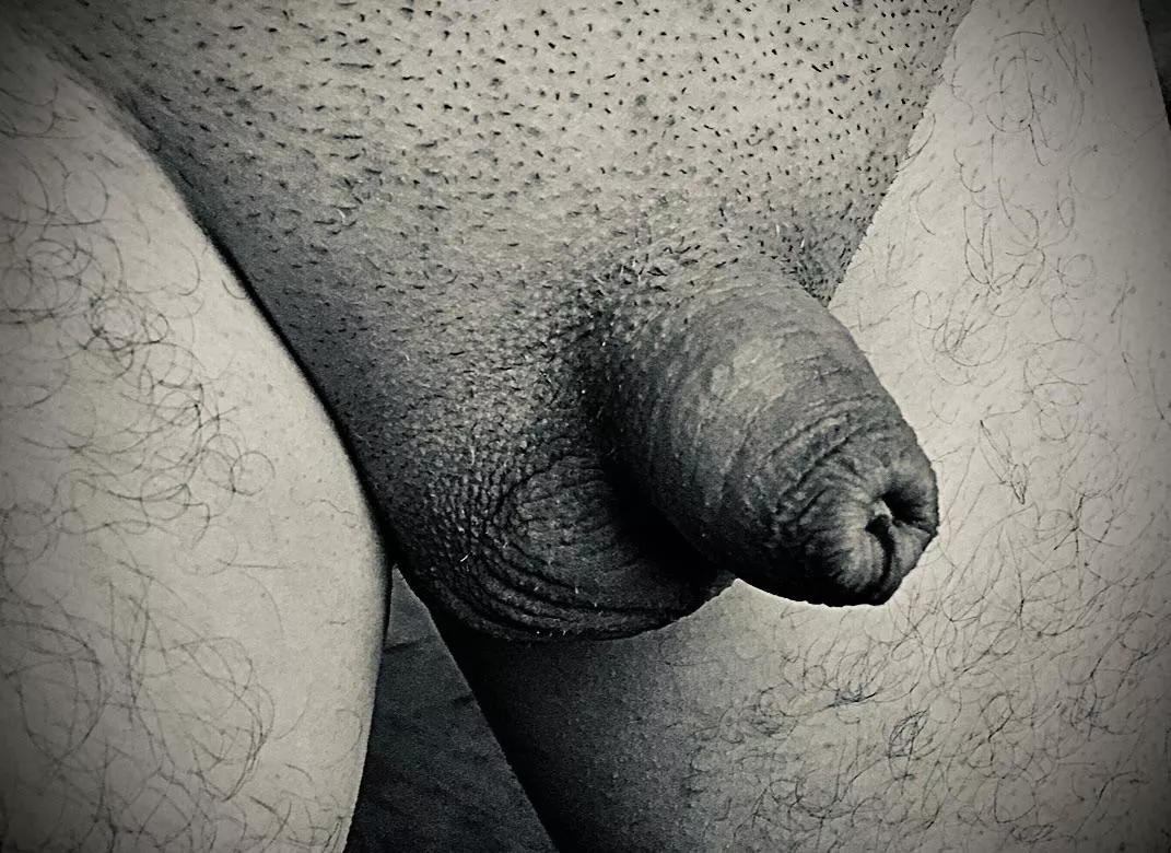 Good things cum in little packages posted by Exhibition1st