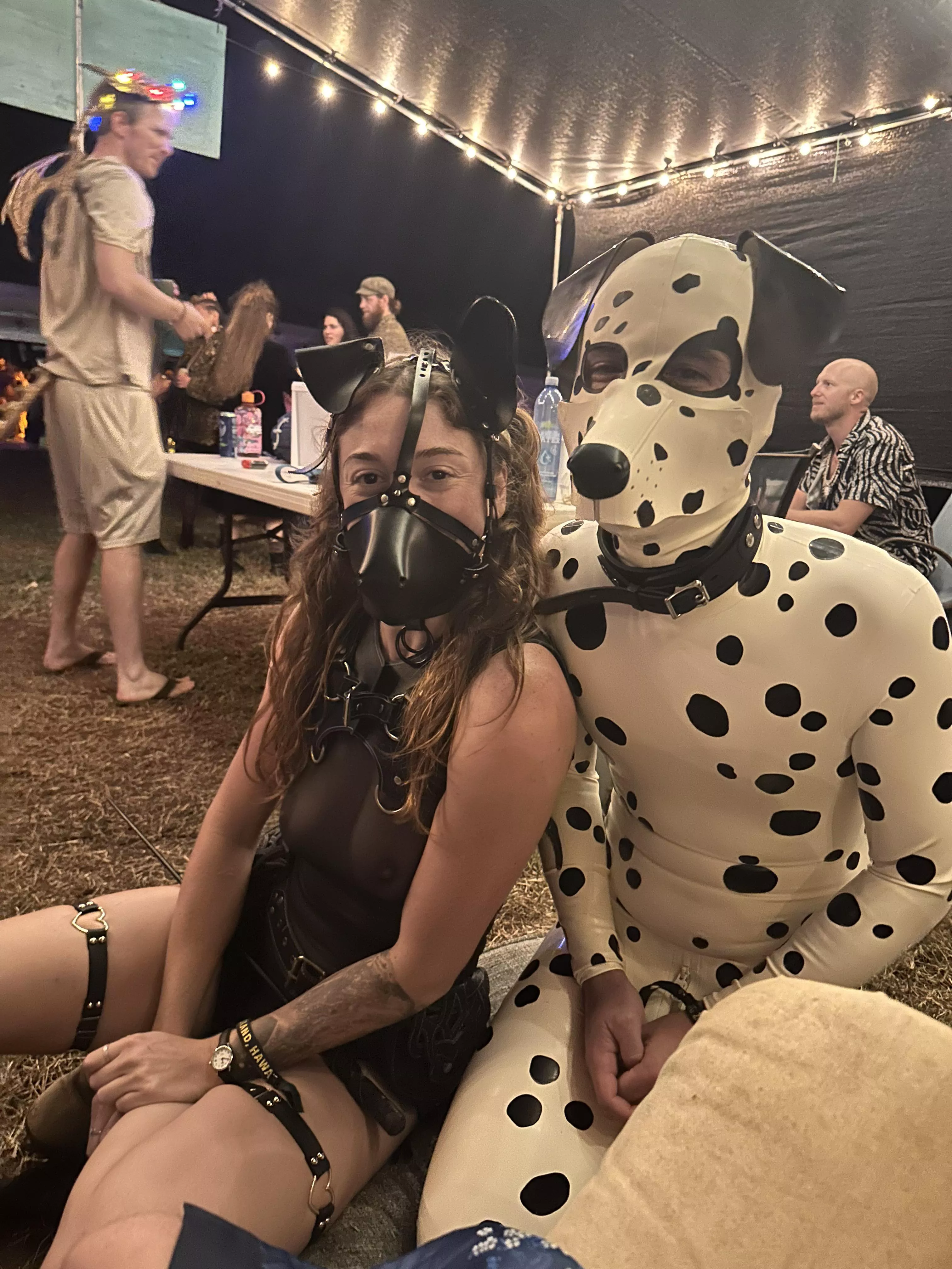 Got to wear my latex puppy suit at my regional burning man event! posted by Buzzbomb
