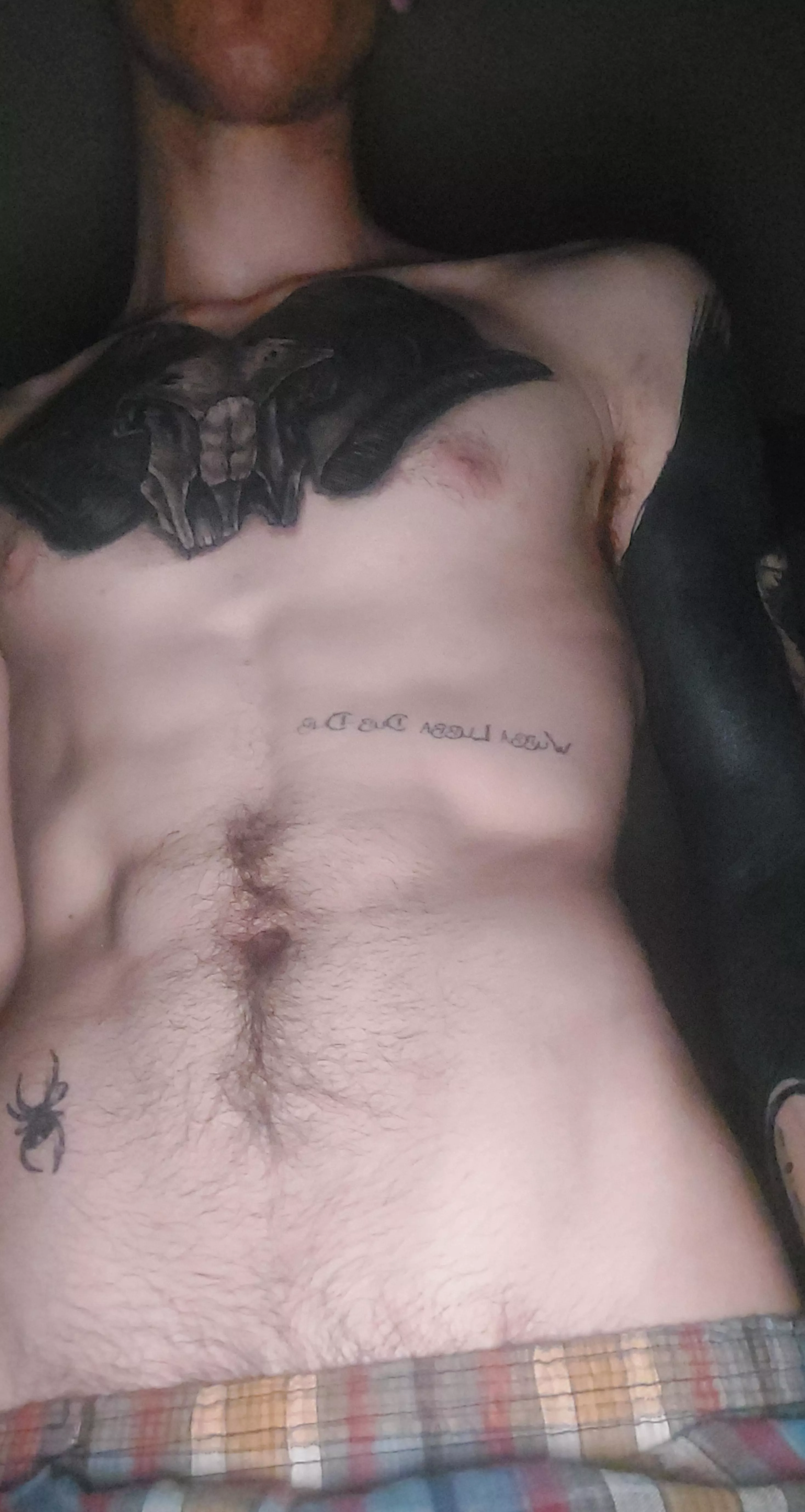 Happy trails posted by Acrobatic-Bake2084