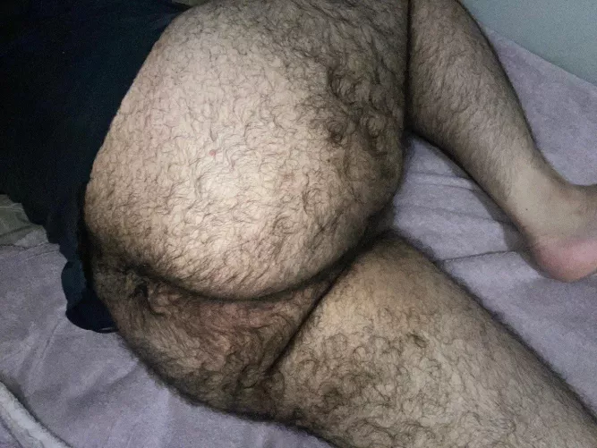 Hello from Brazil by BrazilianHairyBTTM