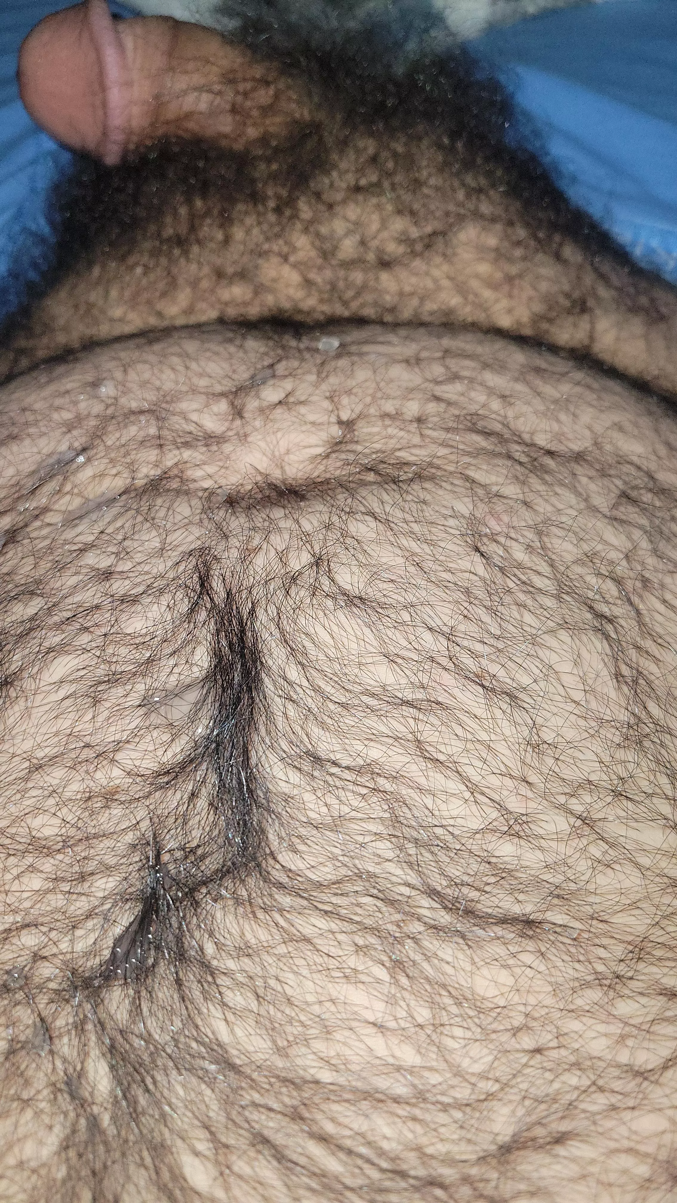 Help im made a mess posted by Mastodon1998