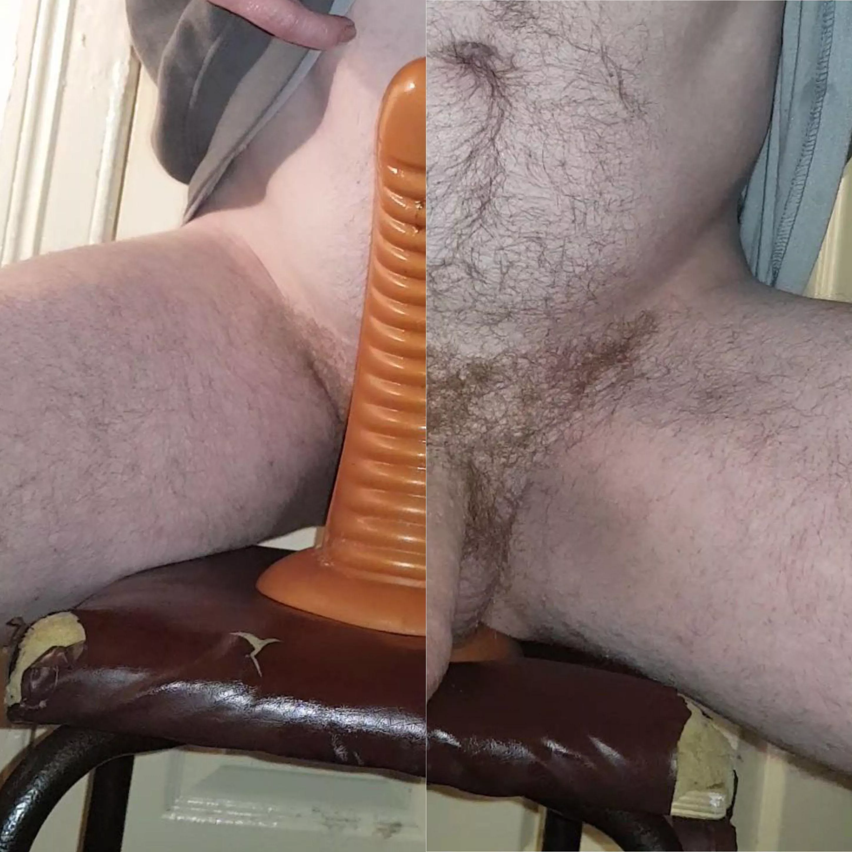 I like buying the largest toys available posted by No_Sun7817