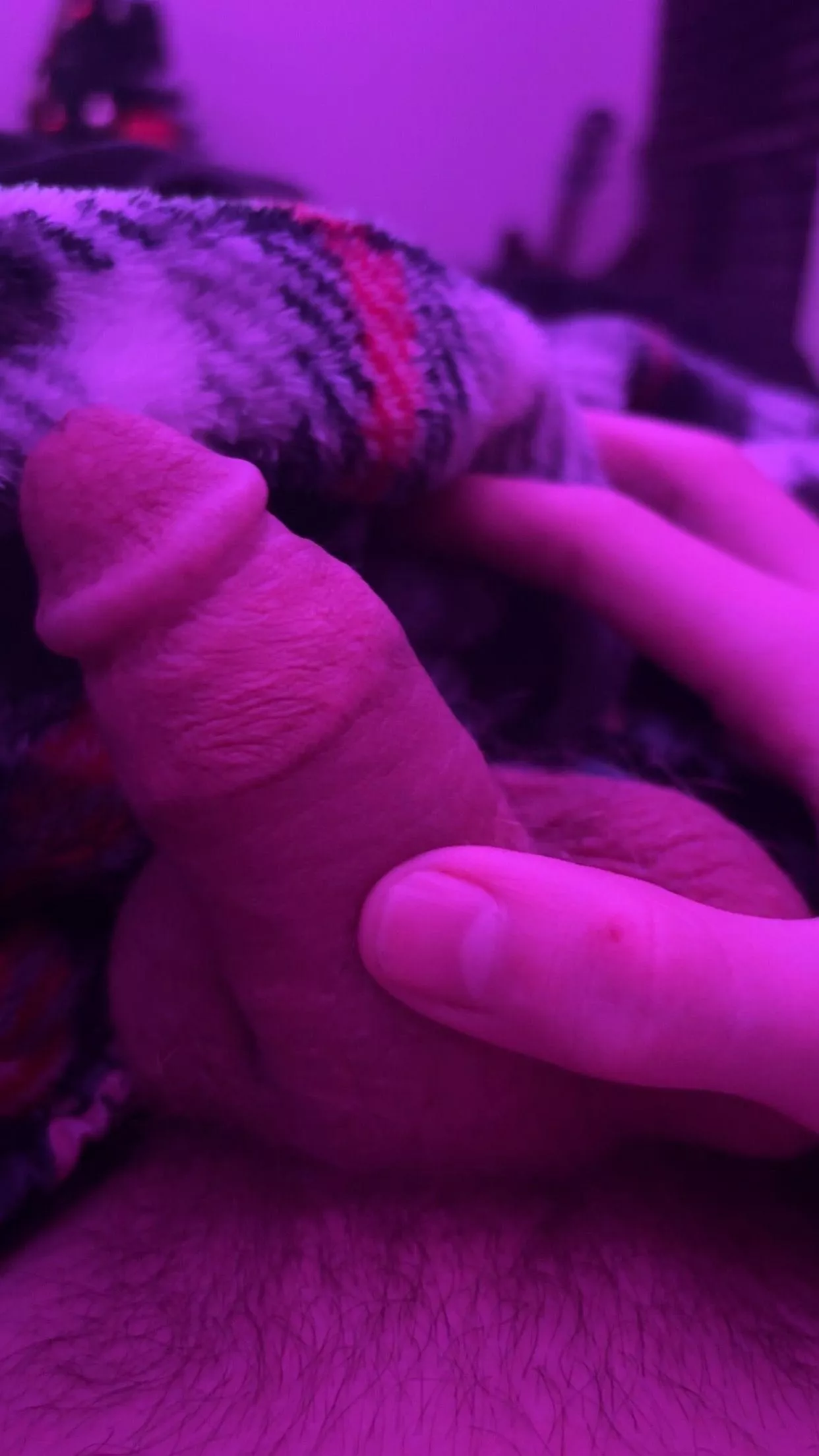 lil shy posted by Amazing_Dog6367