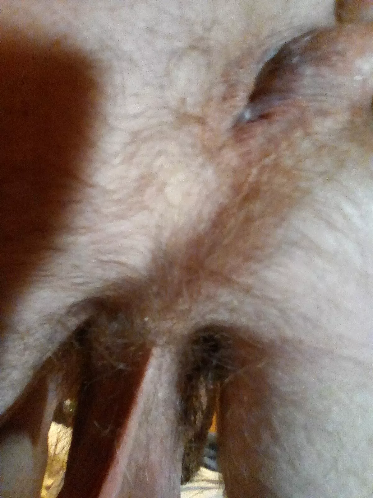 My hole needs attention posted by Certain_Pop1126