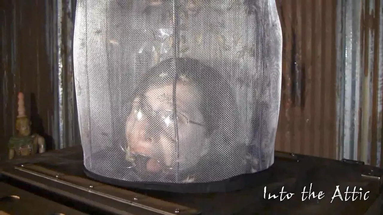 Naomi posted by Redditposterize