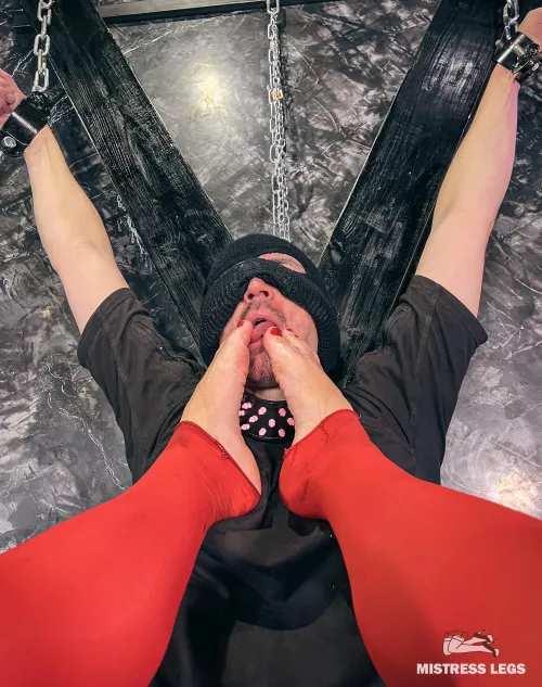 [oc] I want my feet be worshipped, so start lick my tasty toes right now! by MistressLegs