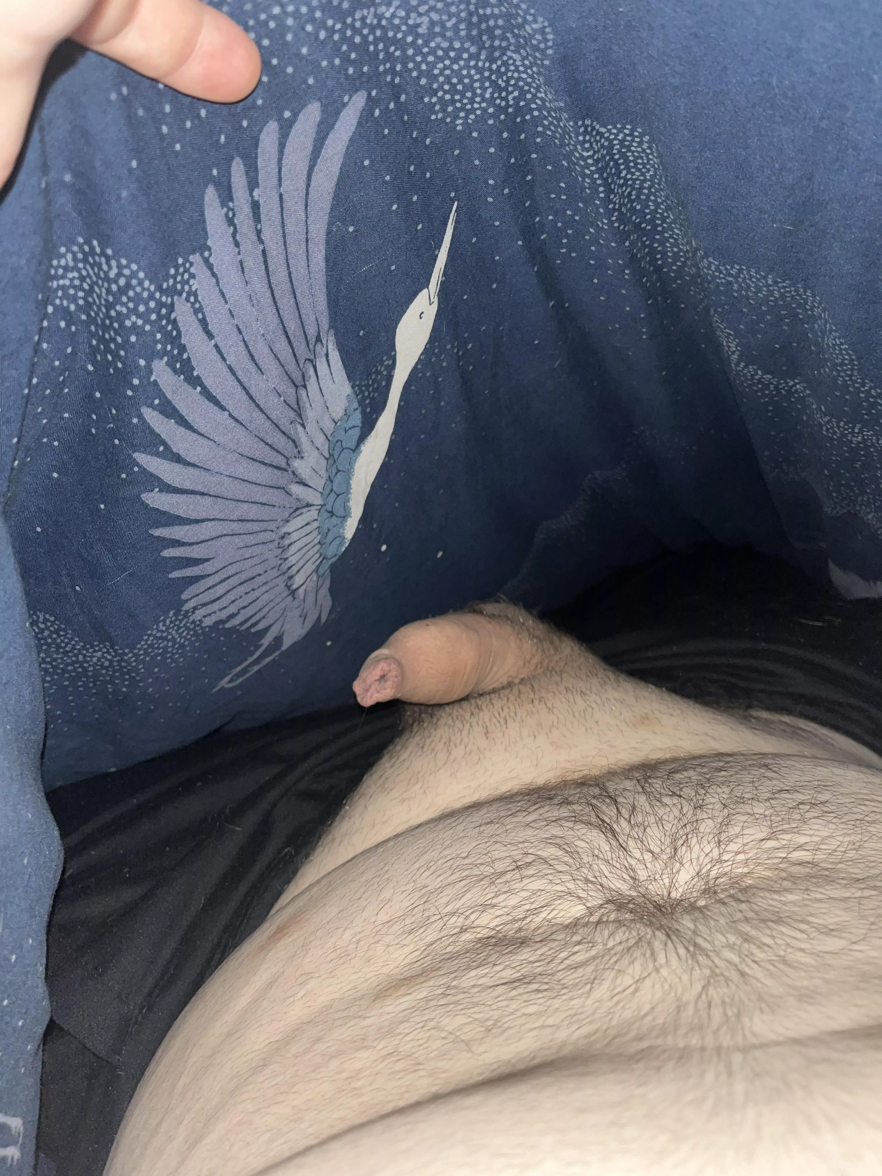 People on here seem to like peeking under my sheets ☺️ posted by MusicianBig4023