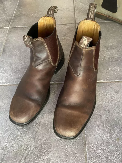 Quality Blundstones Replacements? by Current_Variety_9577