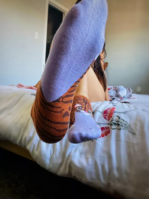 [Selling][US] Want these smelly socks pressed up against your face? 💜 by Silly-Asian-Kitty