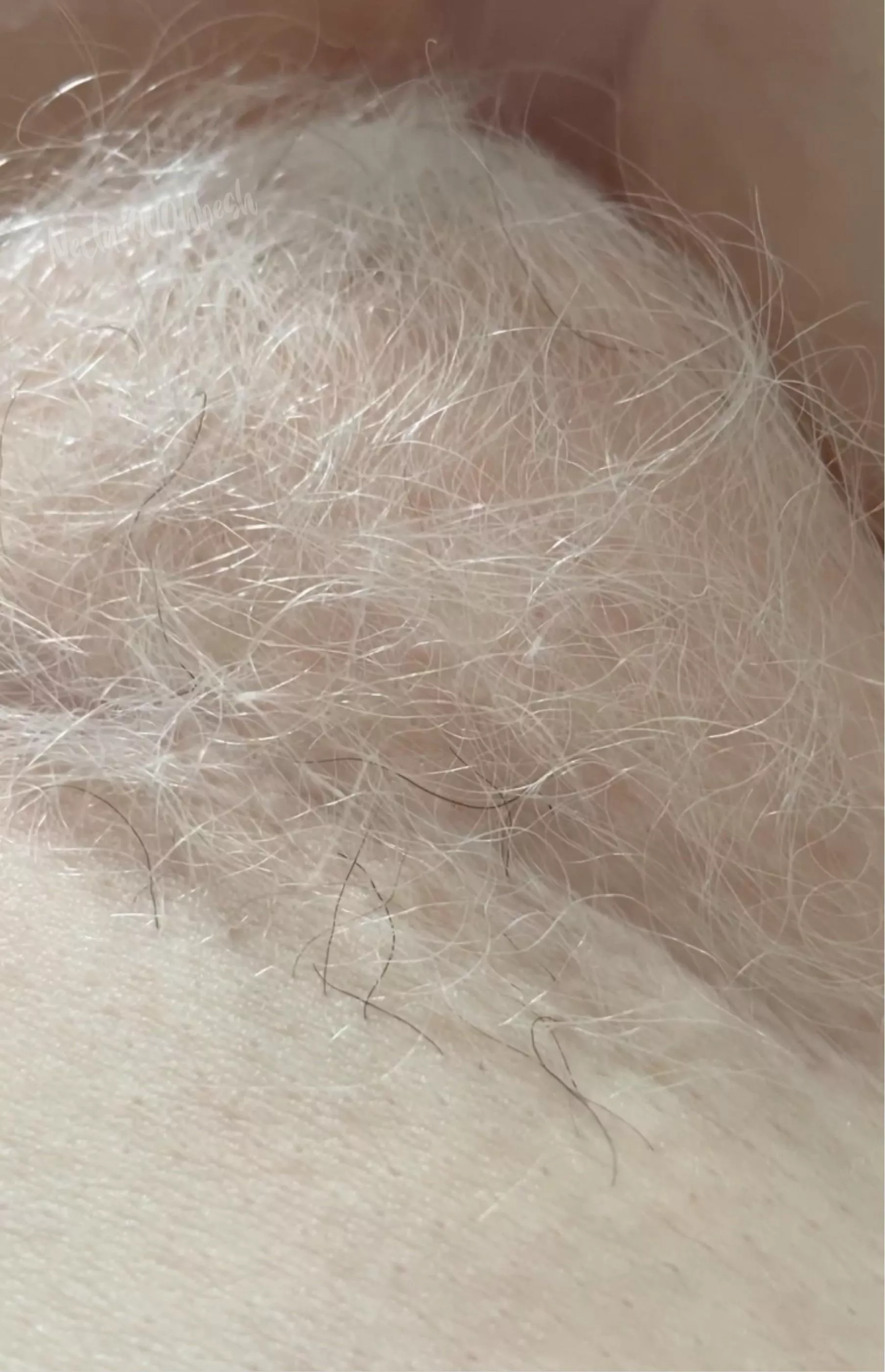 She’s not completely white.  posted by _Nectar000hbesh