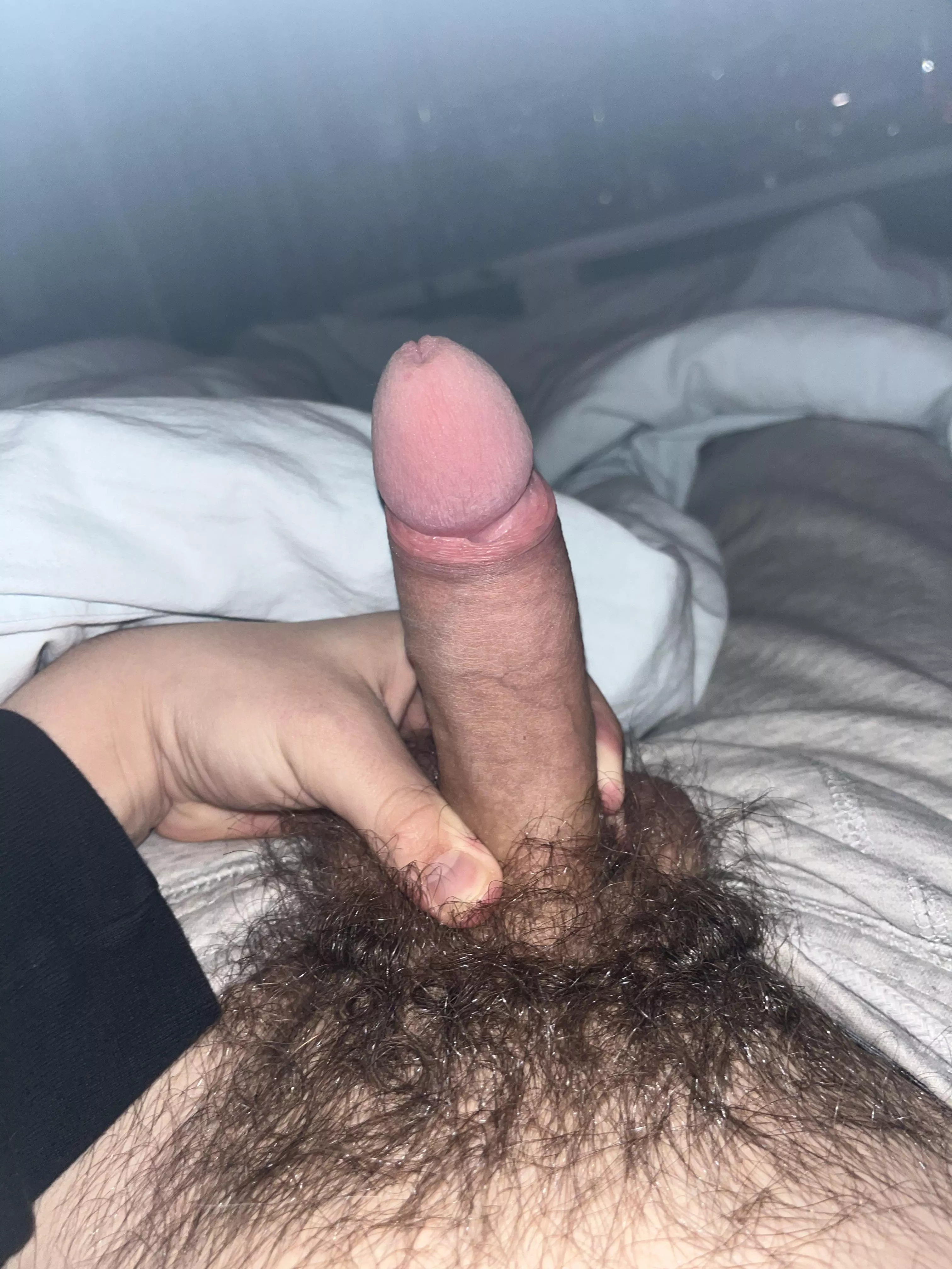 Sorry, but this cock is reserved to over 40year olds… posted by Jessdudez