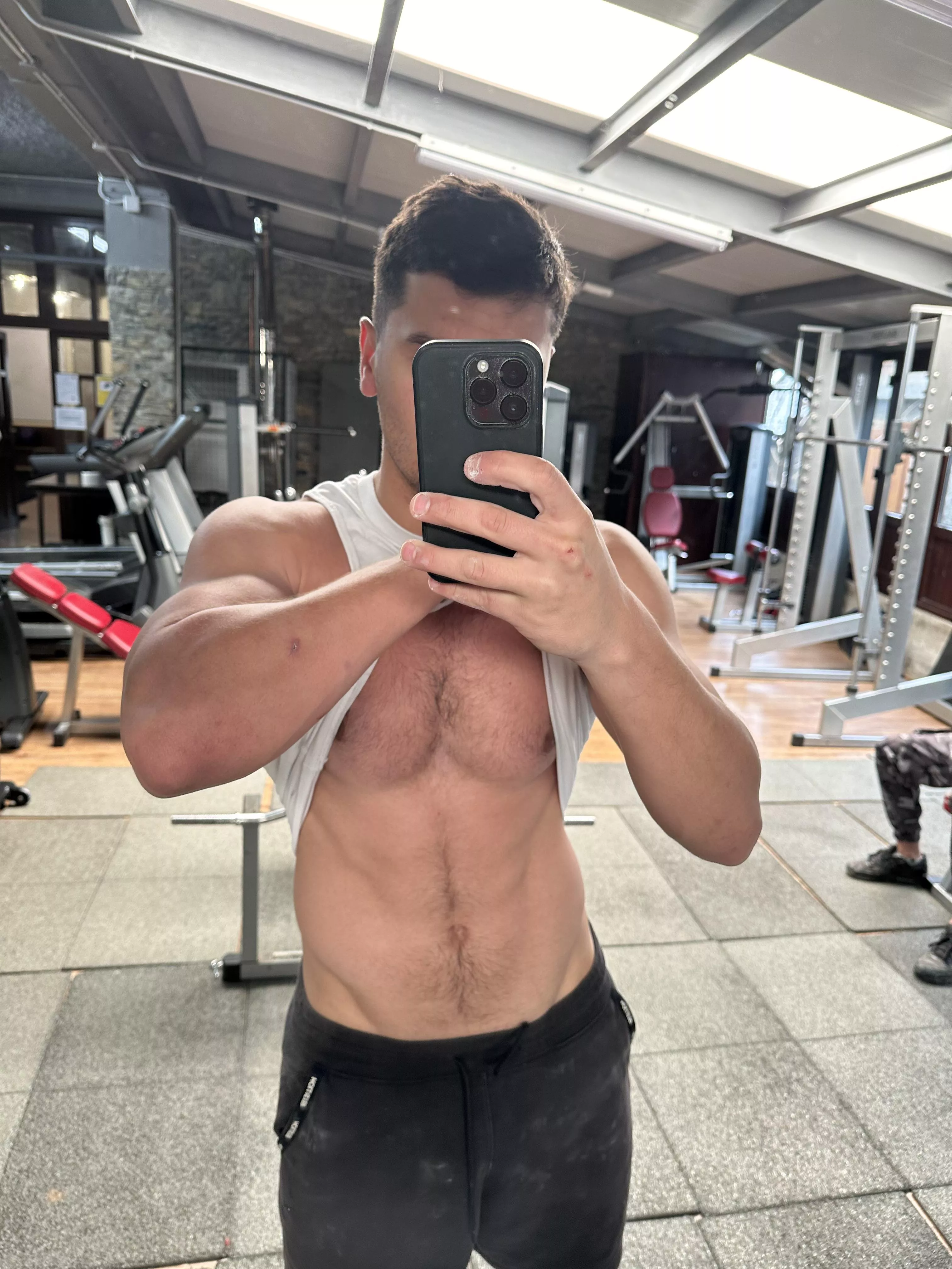 Spanish Chesthair  posted by Isiwak