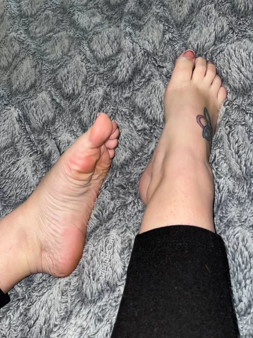 Tattooed tops or wrinkly meaty soles?  by Pedes_Laeti