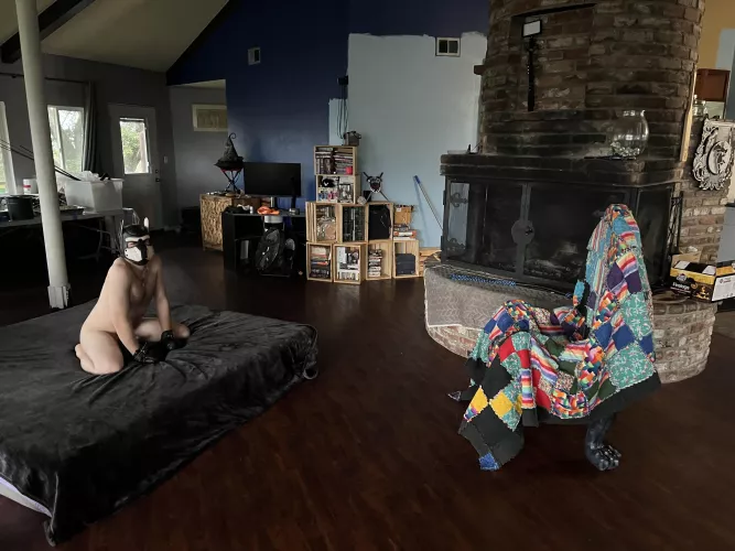 The boys set up a scene, and made sure I had a throne, bwahaha by PackLydo