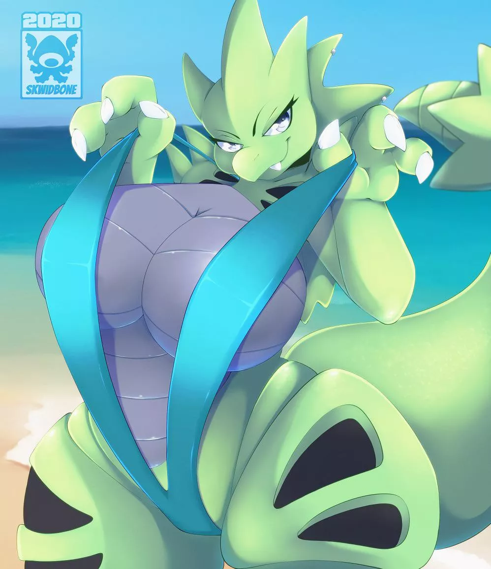 Tyranitar on the beach  posted by yanmaLover