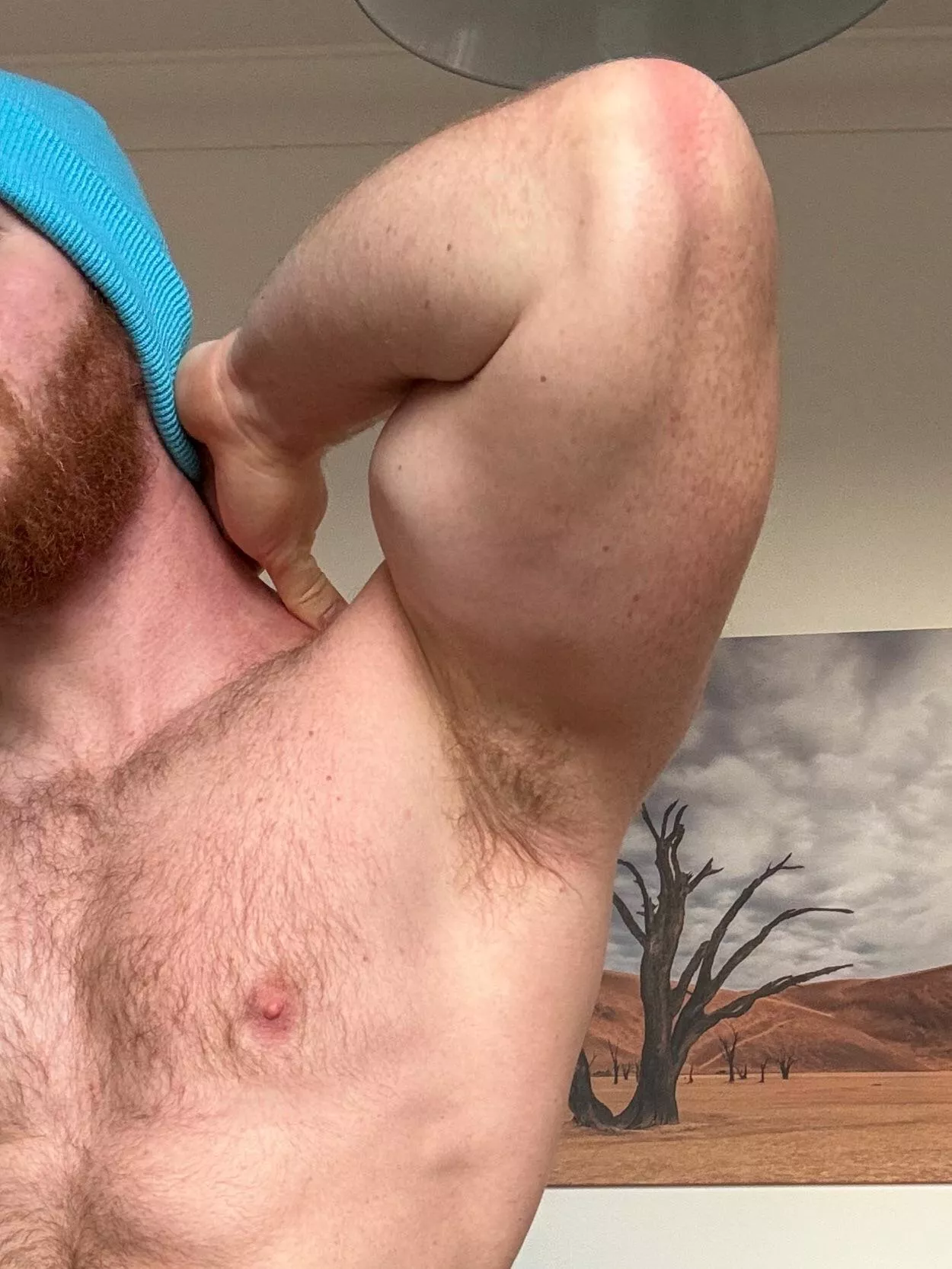 Want to wake up to the smell of man? posted by Bearded_alpha1