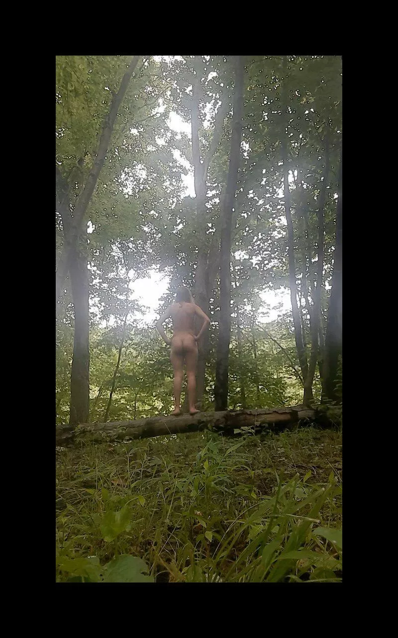 watch out for the cliff! posted by natural_habitat_18