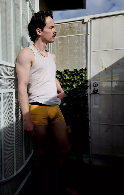 Watching the birds fly by this morning by a1cowslove