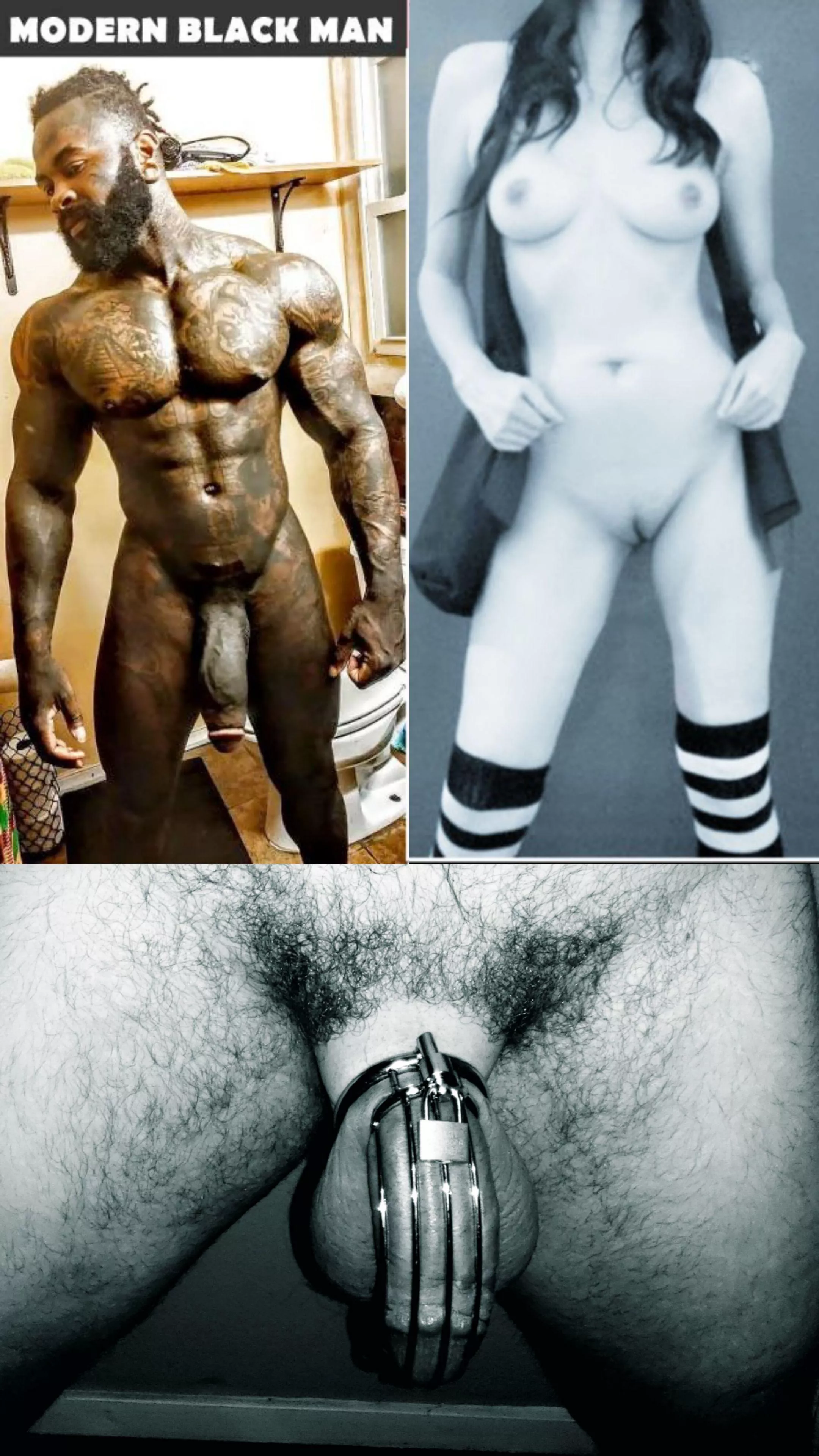 Who wins this one? posted by Hotwife69420