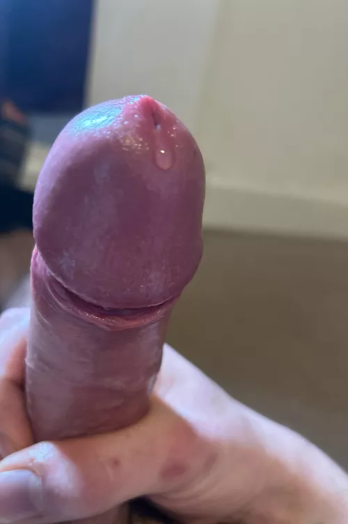 [24] leaking ;) by Ok_Tax1762