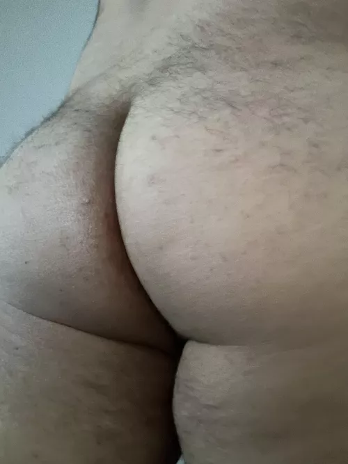 27 need an older bear by xcprikss