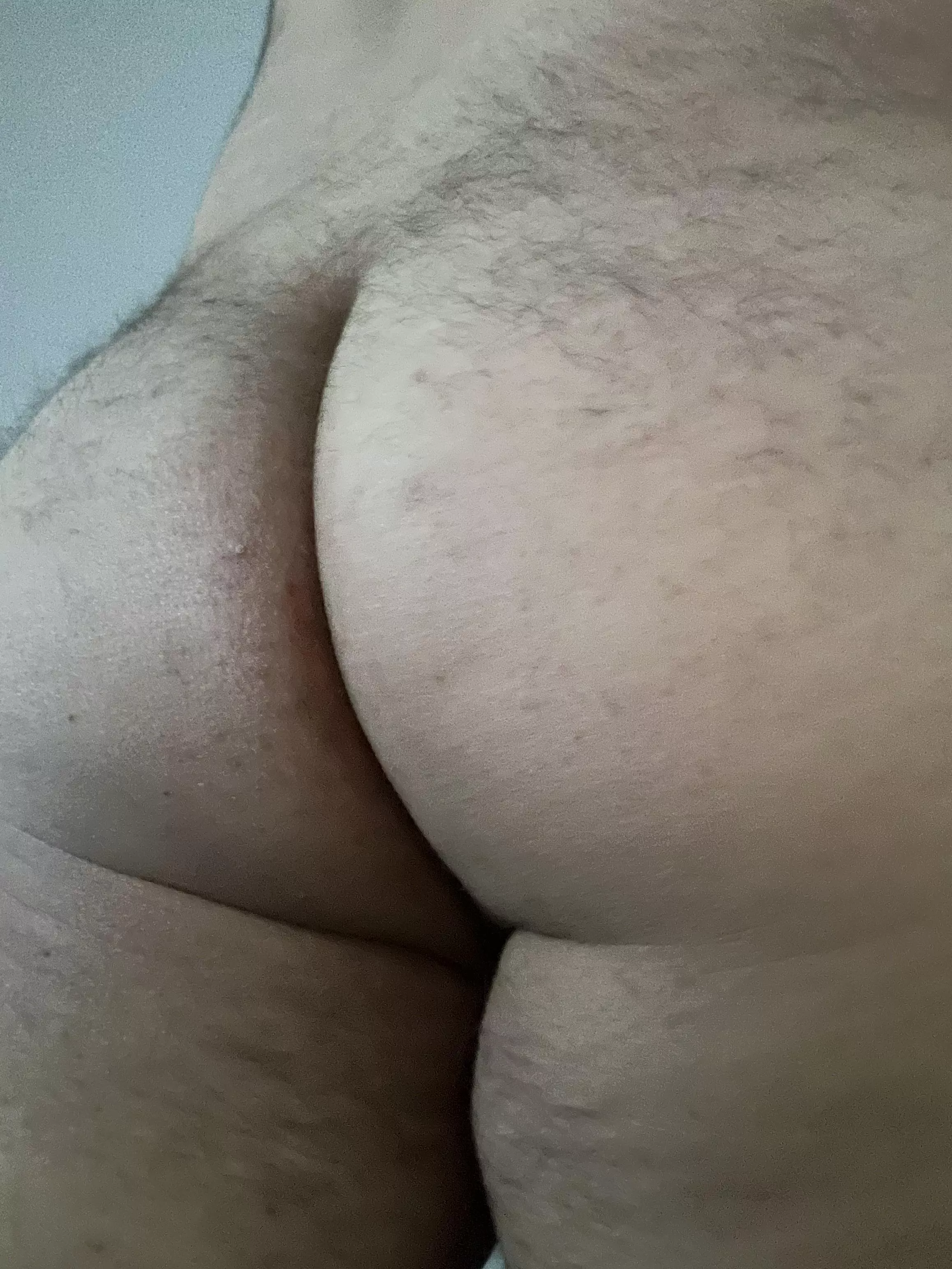 27 need an older bear posted by xcprikss