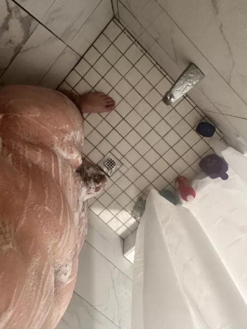 All this room and no one to help 😇 by Mountain_Object7529