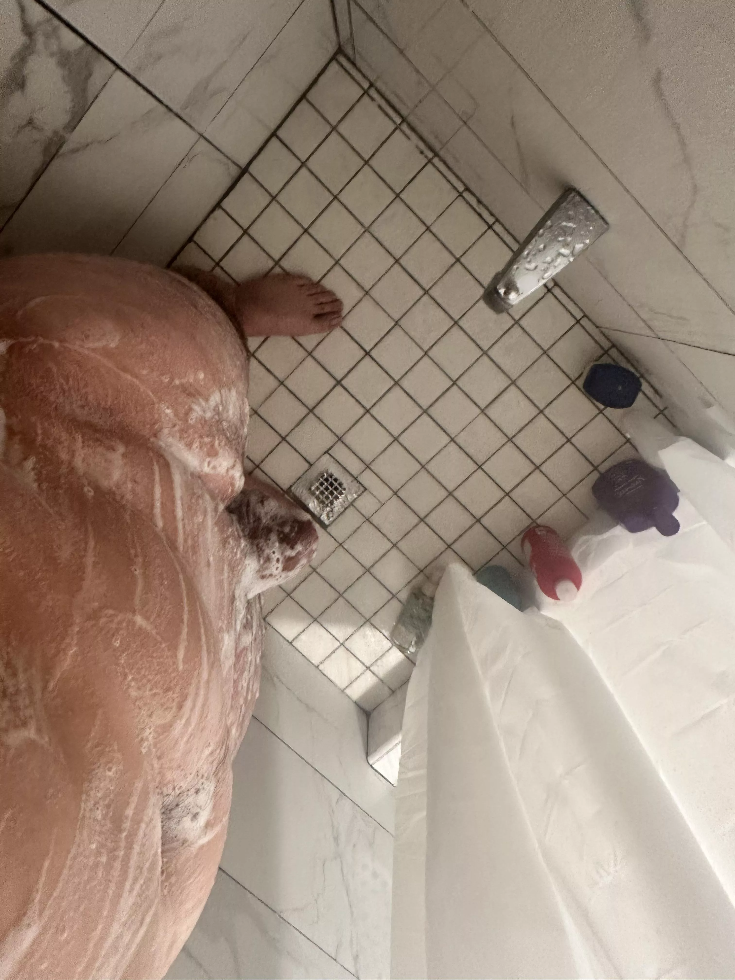 All this room and no one to help 😇 posted by Mountain_Object7529