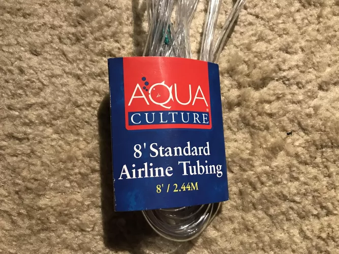 Attempting with a jar by nosmirc005