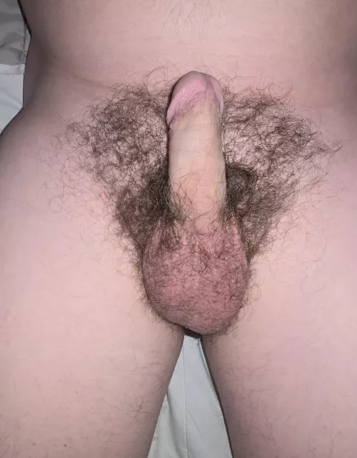 Been about 10 months since I shaved, what do you think? Any tips on a better bush? by Quirky-Medium-1998